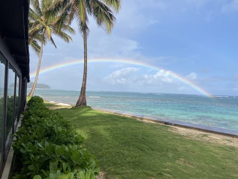 Every day is a good day at the beach