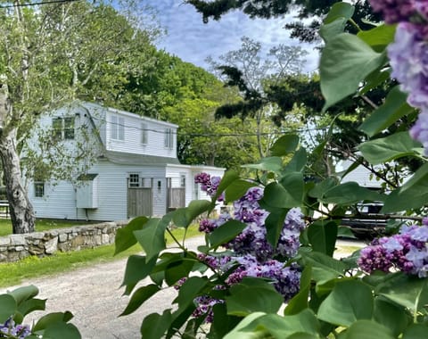 June  has availability booking now