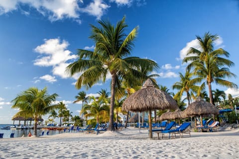 Private beach, white sand, sun loungers, beach umbrellas