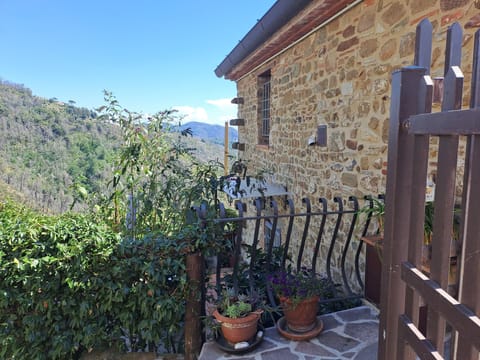 the garden entrance from the gate
