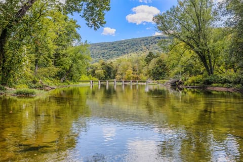 Take a trip to the C&O canal