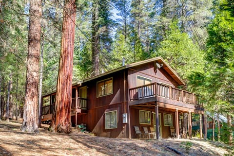 Cecil's Cabin