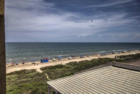 Studio | Beach | On the beach