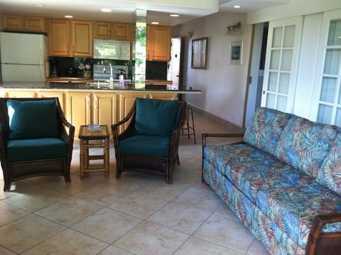 Family room - the couch on the right has a fold-out queen bed (new in Sept 2015)