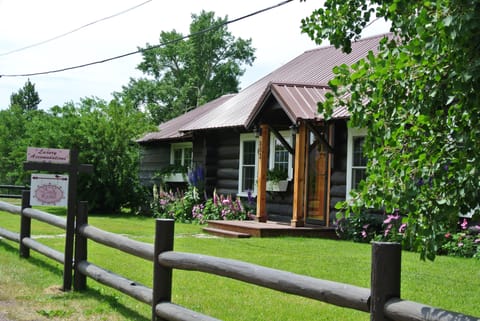 Welcome to the Candy Kitchen!