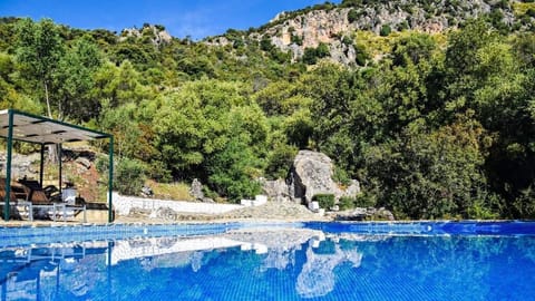Outdoor pool, pool umbrellas, sun loungers