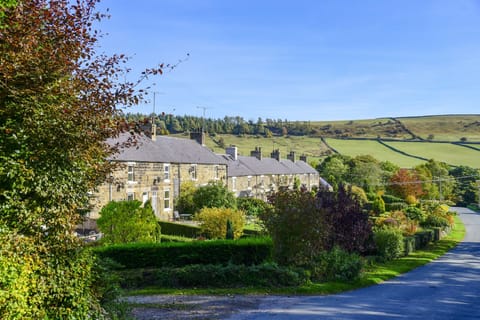 School Row - tranquil in the summer sun.