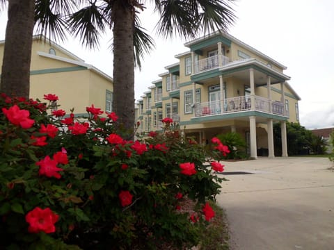 "The Villas of San Vincente"