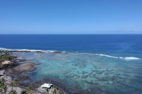 Located steps away from beautifull Kahalu’u Bay, Keauhou, HI.
