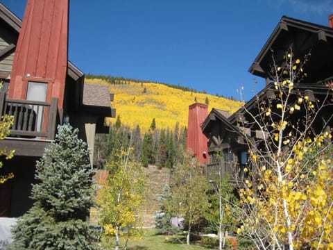 View of our back yard.