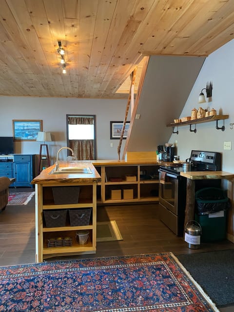 Kitchen is equipped with all the essentials 