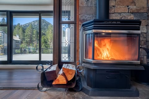 Cheery woodstove in living room.