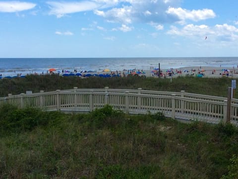 Beautiful Summer Day! 