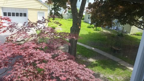 The large, shady yard is perfect for an evening fire, games, or just lounging.