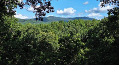 Beautiful long-range mountain views from the back porch!