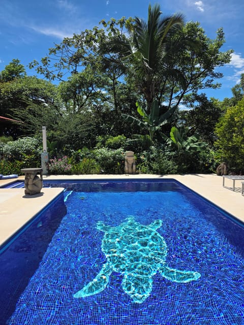 Unique poolside surrounded by lush greenery. 

