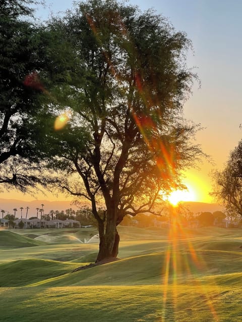 Your morning coffee view.  Photo from Todd, one of our guests (with permission)