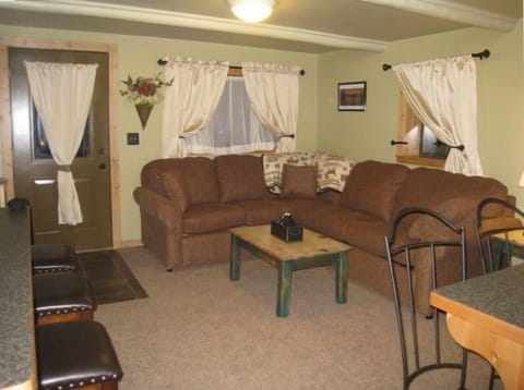 Living area with full sofa sleeper