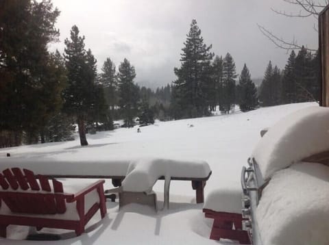 The view from our back deck after a fresh foot of snow.
