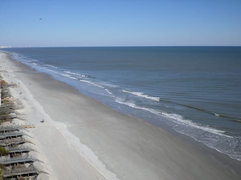 North view of Myrtle beach
