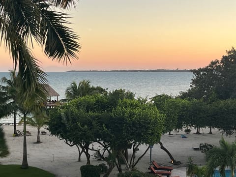 View from the balcony in unit 332