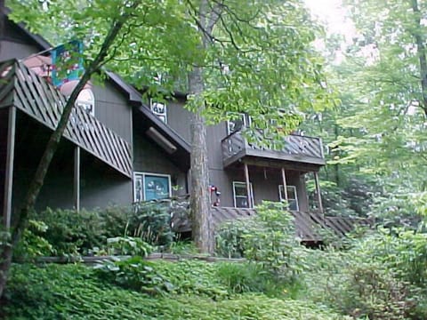 Looking at Treetops!