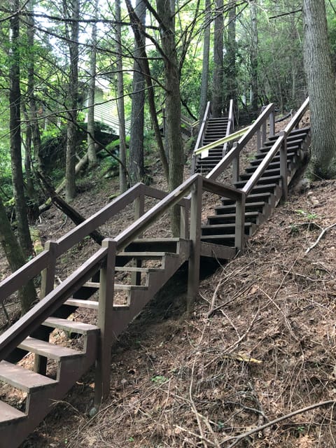 Steps Leading To River