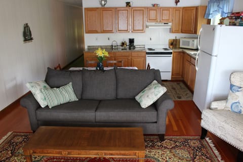 new queen sleeper sofa