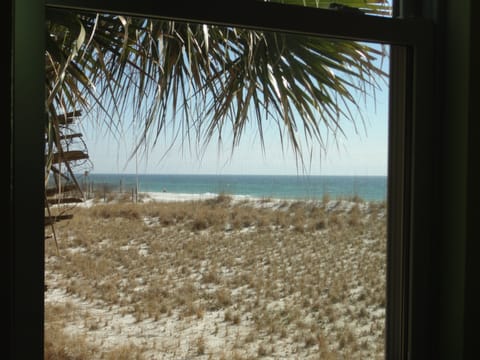 Palm trees, blue water & sandy beaches are your view from the master bedroom