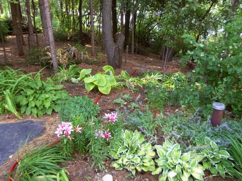 flower garden by front door