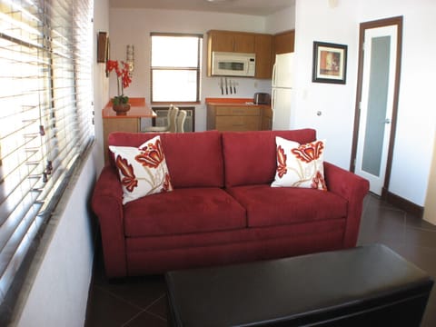 Spacious, comfortable, large studio. Sleeps 4 adults comfortably.