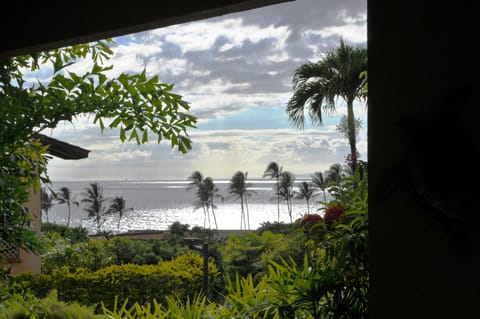 Ocean view from Lanai