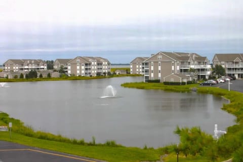 View from back porch