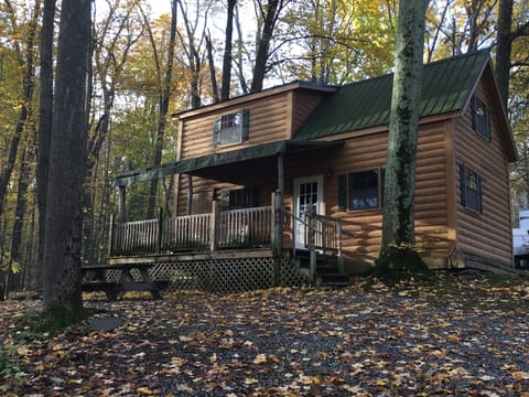 Cabin 8 - fire pit, propane BBQ, fire pit