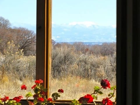 Winter view from the sunroom, where geraniums add color and cheer all year round