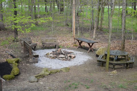Campfire area