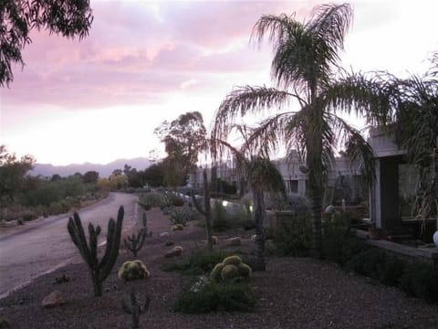 Looking south along walking path just beyond the patio.