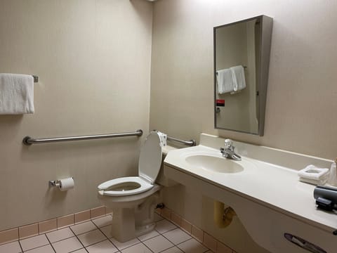Deluxe Room, 1 Queen Bed, Accessible, Non Smoking | Bathroom | Free toiletries, hair dryer, towels