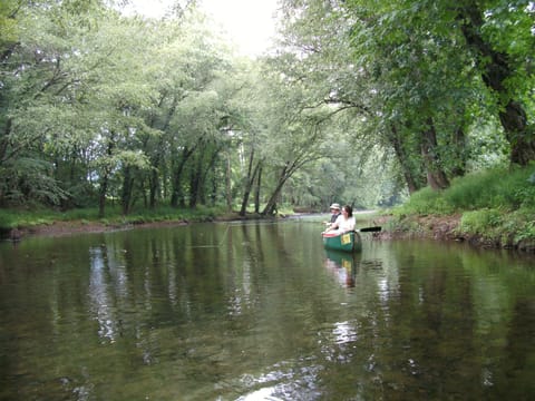 Canoeing at Cottage on Craig- very relaxing!