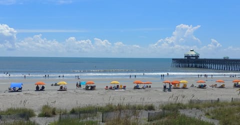 View from our porch!