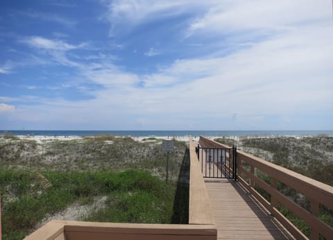 Private boardwalk to the beach