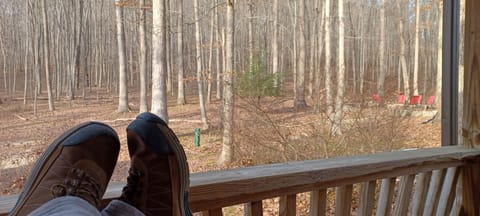 Brush Creek Forest 60 feet off front porch