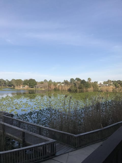 My condo is lakeside. Yes you can fish .