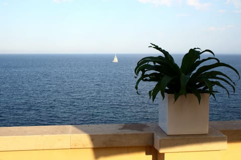 A breathtaking view from the terrace