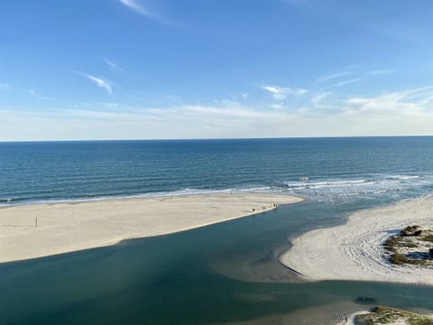 Best View in South Tower