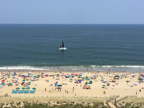 Spectacular Oceanfront Balcony View!!