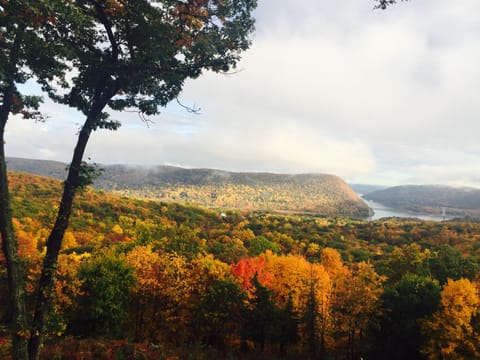Autumn Foliage - Private Patio View 