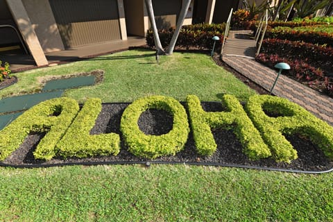 Come immerse yourself in the Aloha spirit - Welcome.