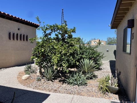 Walkway to Courtyard of Casitas A, M, and N