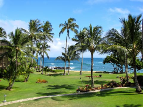 View from our Lanai